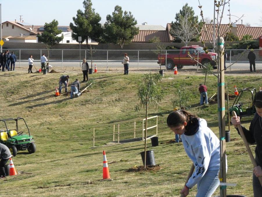 More than 80 volunteers participated in last month’s “Semester of Service” tree planting event at Arnie Quinones Park in Palmdale.