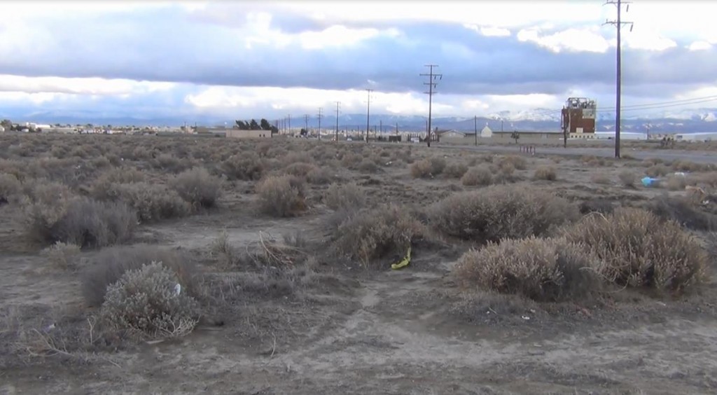 A partial skeleton was found Thursday evening in this desert field near the intersection of Division Street and East Avenue H in Lancaster. Authorities are working to identify the remains. (Photo by LUIS MEZA)